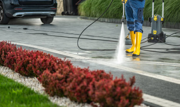 Best Gutter Cleaning  in Hazen, ND